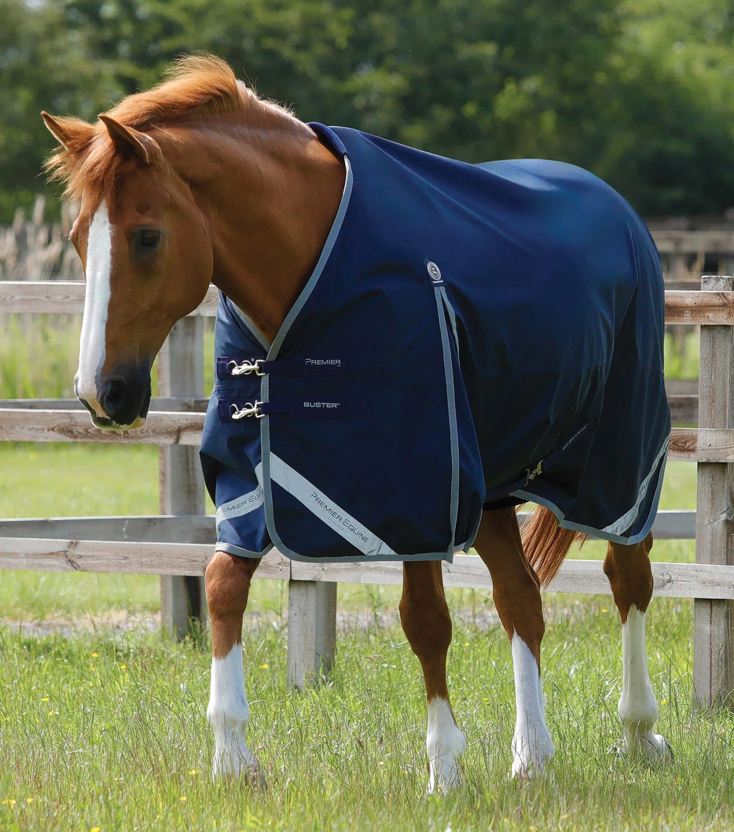 Buster Zero Original Turnout Rug 3 Buster Zero Original Turnout Rug
