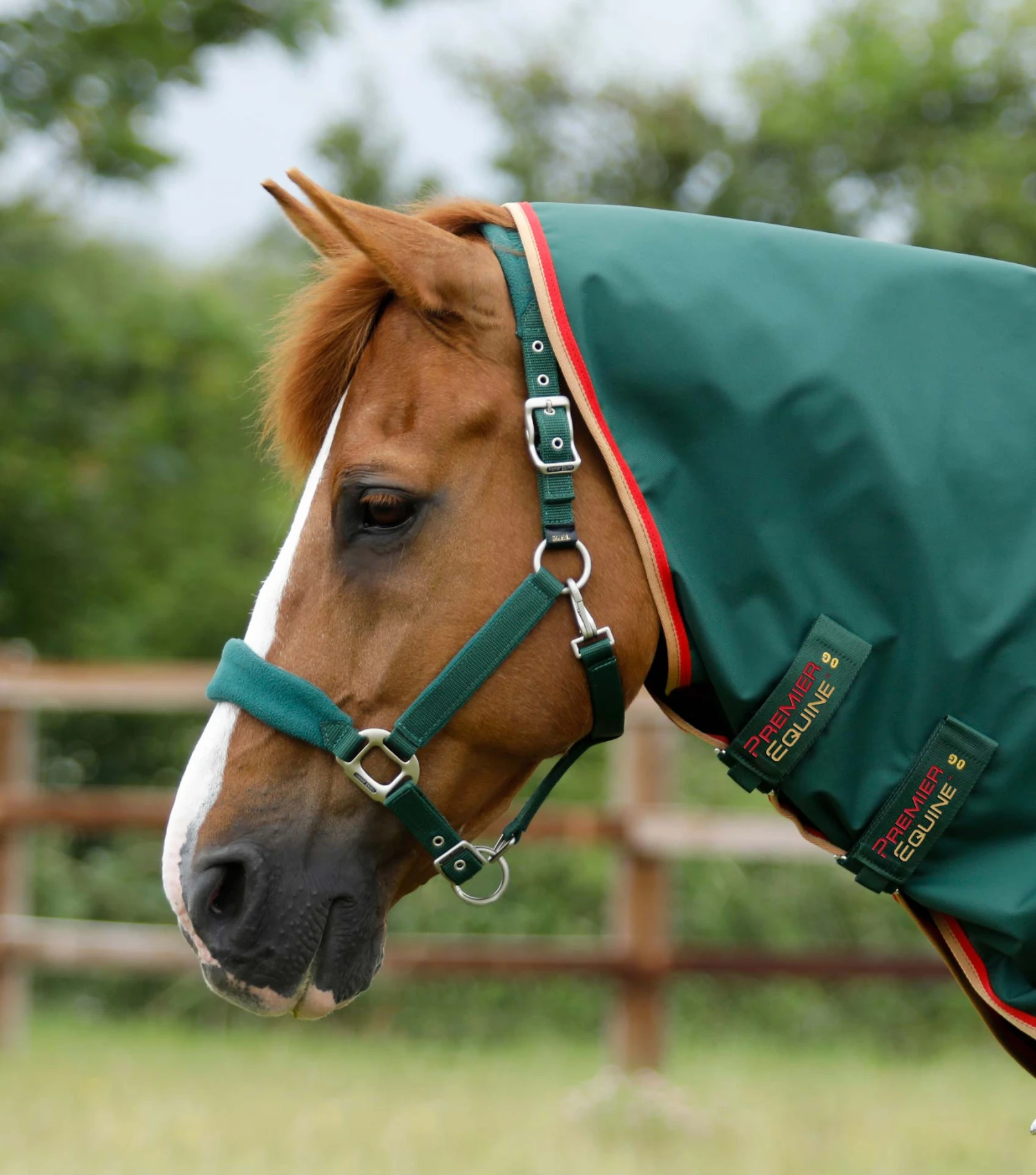 Buster Zero Classic Turnout Rug Neck Cover (0g Fill) 5 Buster Zero Classic Turnout Rug Neck Cover (0g Fill) - Image 3