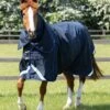 Buster 40g Turnout Rug With Classic Neck Cover