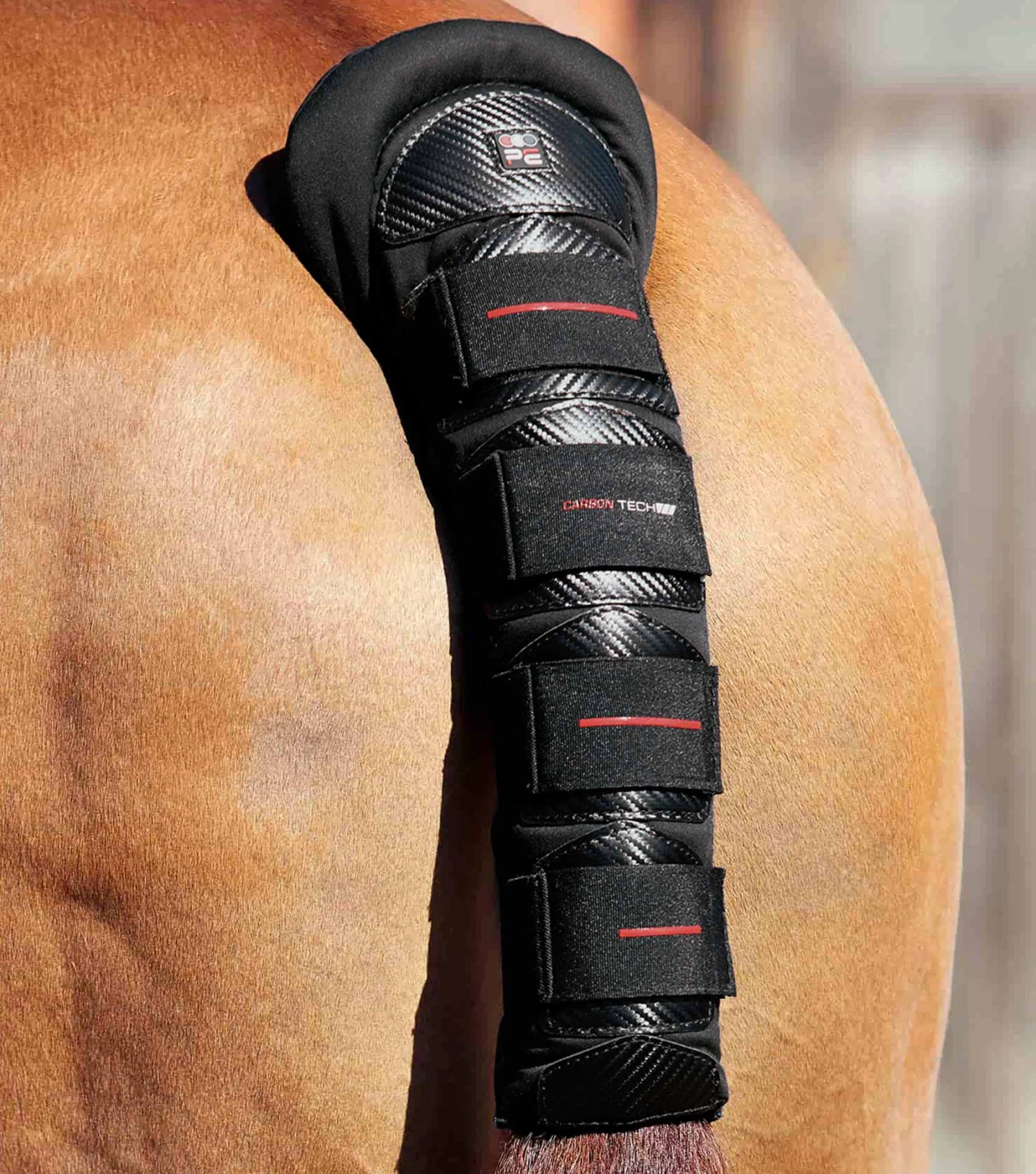 Carbon Tech Anti-Slip Tail Guard 7 Carbon Tech Anti-Slip Tail Guard - Image 5