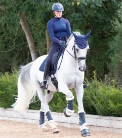 Close Contact Merino Wool European Saddle Pad - Dressage Square -Premier Equine Close Contact Merino Wool European Half Lined Dressage Square Navy 7 18361eb9 e764 4432 a80c ee401a004617