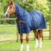 Combo Dry-Tech Horse Cooler Rug
