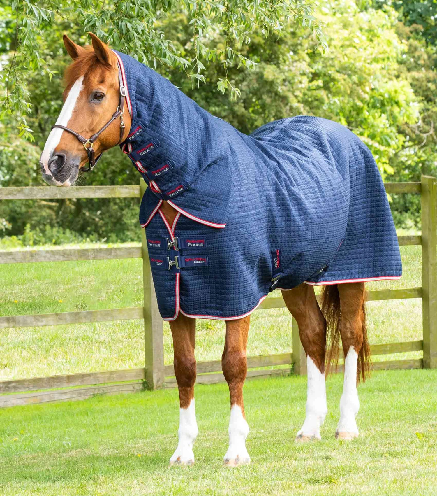 Combo Dry-Tech Horse Cooler Rug 3 Combo Dry-Tech Horse Cooler Rug