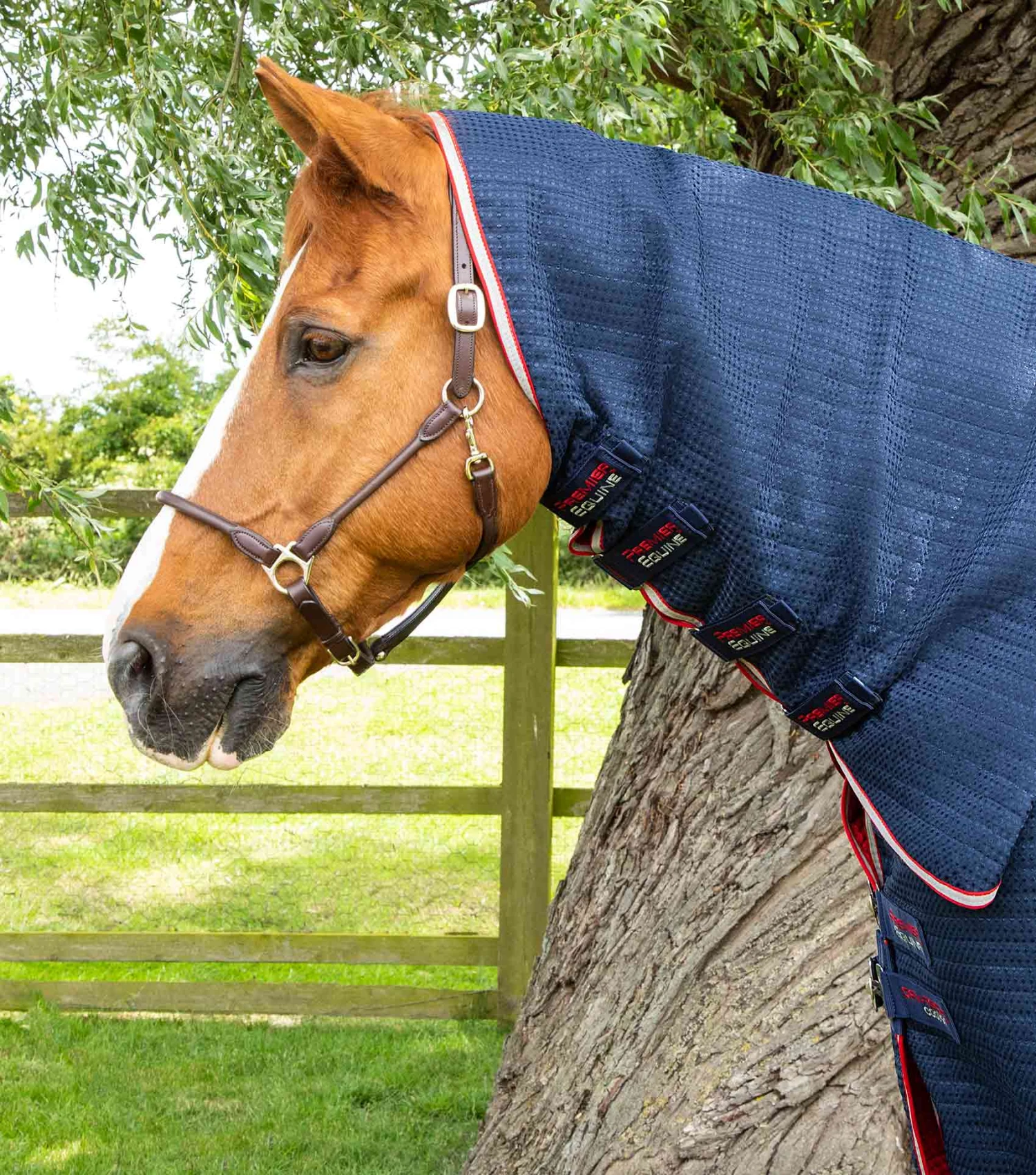 Combo Dry-Tech Horse Cooler Rug 4 Combo Dry-Tech Horse Cooler Rug - Image 2