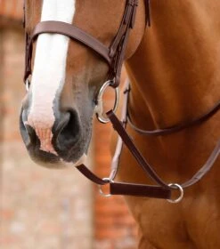 Esperia Irish Martingale 15 Esperia Irish Martingale -Premier Equine Esperia Irish Martingale Brown 2