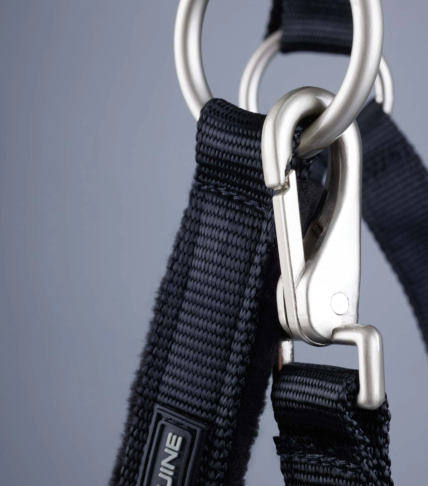 Fleece Padded Horse Head Collar 7 Fleece Padded Horse Head Collar - Image 5