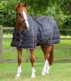Garissa Stable Rug 200g -Premier Equine Garissa Stable 200 Black 1