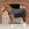 Horse Walker Rug 100g