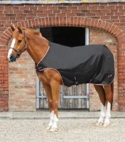 Horse Walker Rug 100g