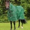Hydra 200g Stable Rug With Neck Cover 2 Hydra 200g Stable Rug With Neck Cover -Premier Equine Hydra Stable Rug 200 Green 1