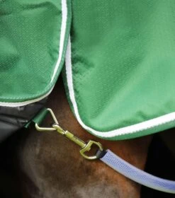 Hydra 200g Stable Rug With Neck Cover -Premier Equine Hydra Stable Rug 200 Green 5