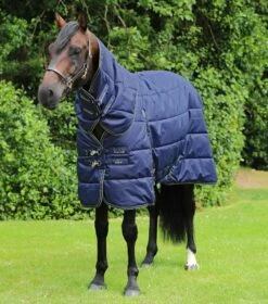 Hydra 350g Stable Rug With Neck Cover