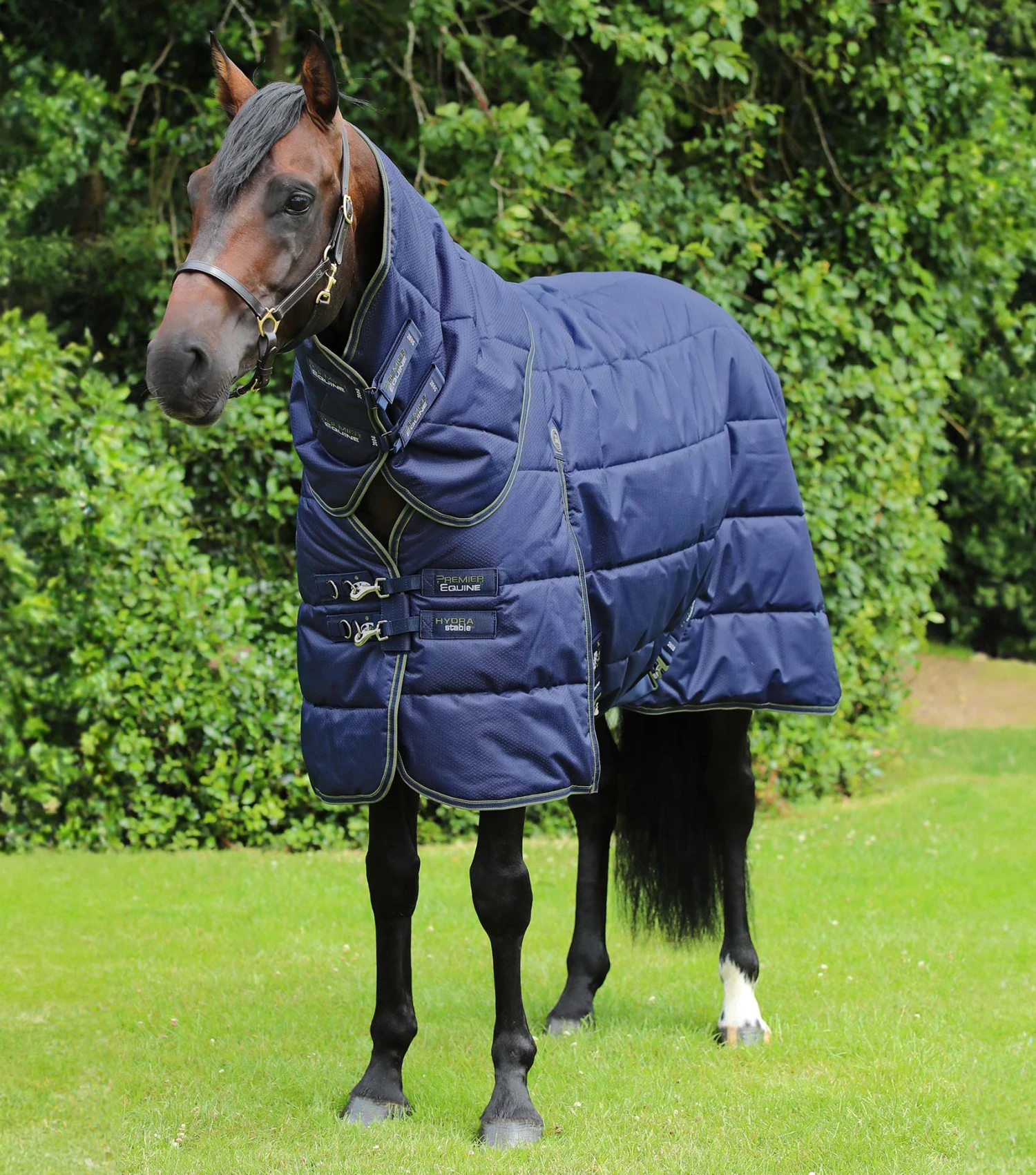 Hydra 350g Stable Rug With Neck Cover 3 Hydra 350g Stable Rug With Neck Cover