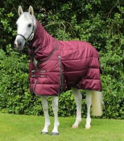 Hydra 350g Stable Rug With Neck Cover 20 Hydra 350g Stable Rug With Neck Cover -Premier Equine Hydra Stable Rug 350 Wine 1