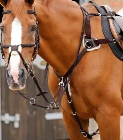 Invorio 5 Point Breastplate -Premier Equine Invorio 5 Point Breastplate Brown 1 89e9f6a7 6819 4251 a2c1 d5b85ed5f979