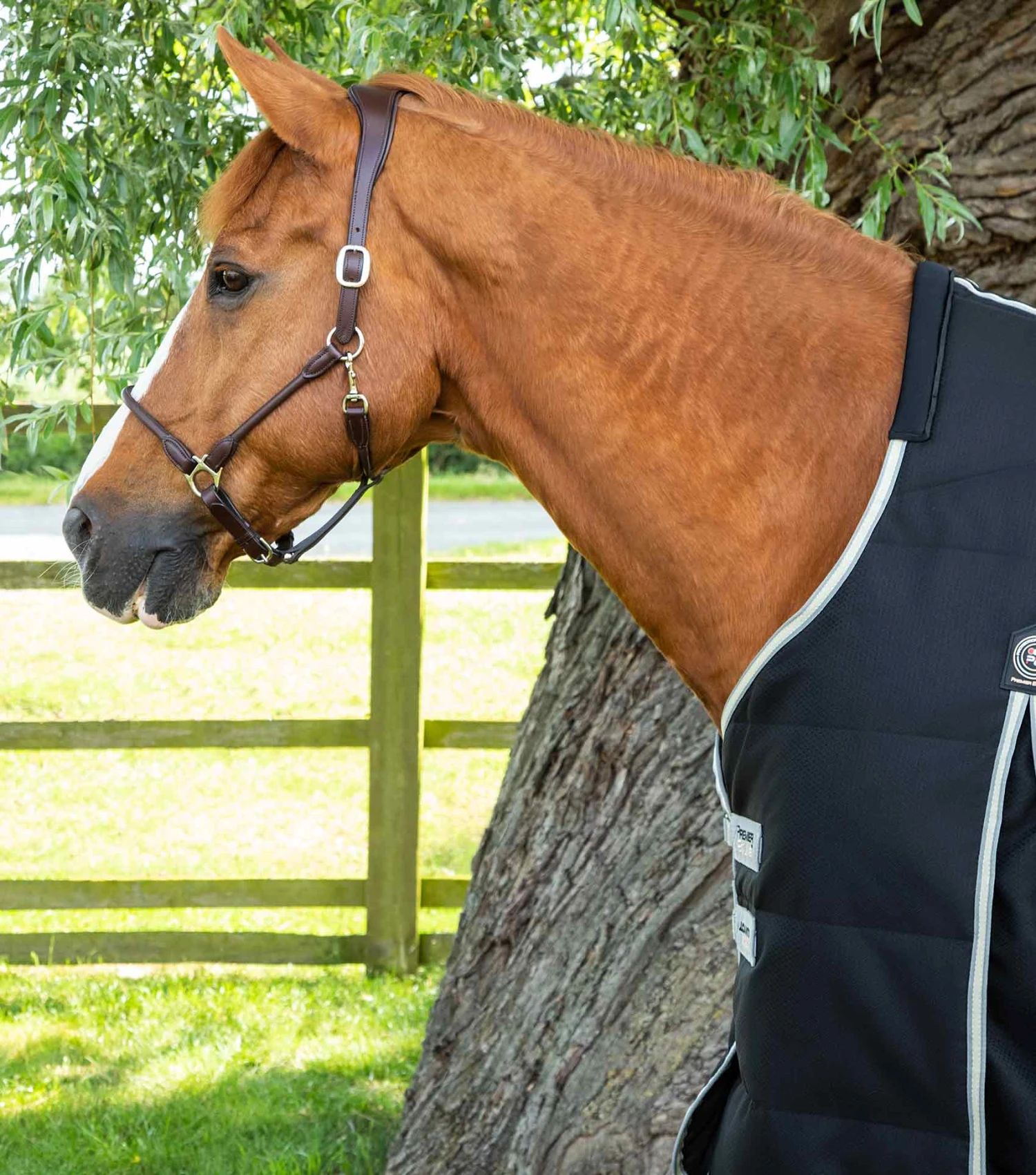 Lucanta Demi Stable 100g 4 Lucanta Demi Stable 100g - Image 2