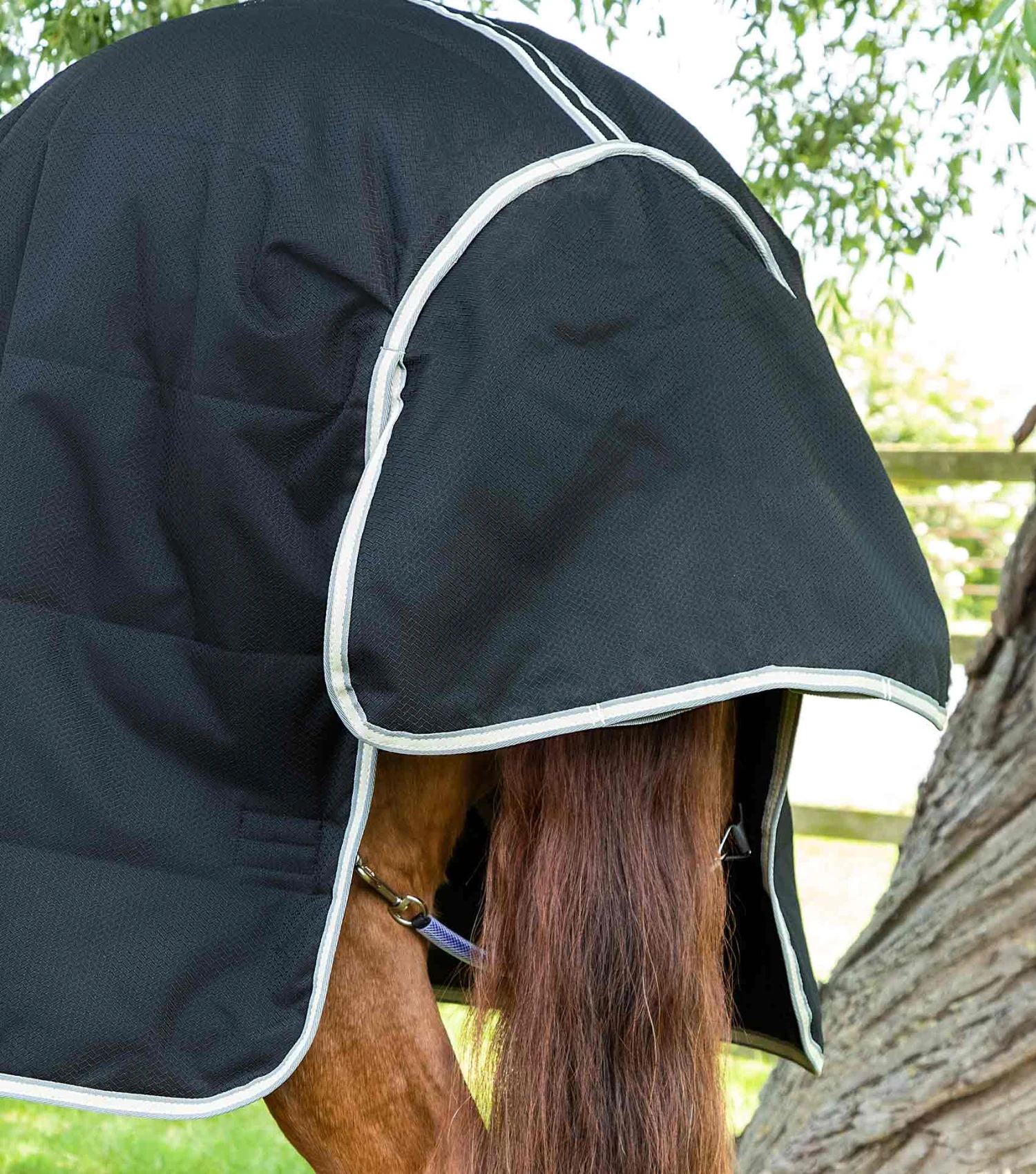 Lucanta Demi Stable 100g 7 Lucanta Demi Stable 100g - Image 5