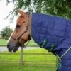Lucanta Stable 450g Neck Cover (200g Fill) -Premier Equine Lucanta Stable 450g Stable Rug 2