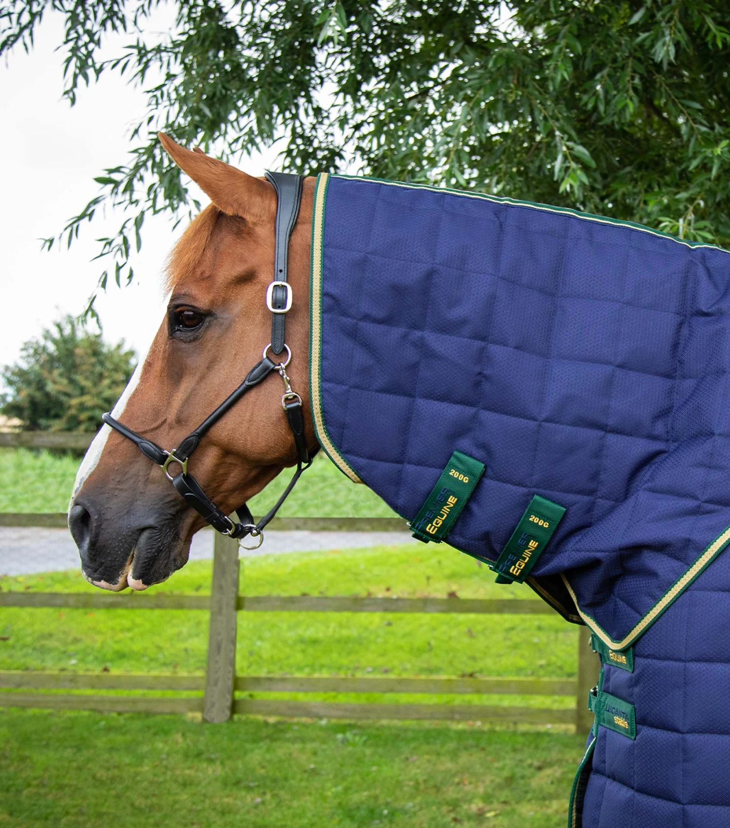 Lucanta 450g Stable Rug With Neck Cover 5 Lucanta 450g Stable Rug With Neck Cover - Image 3