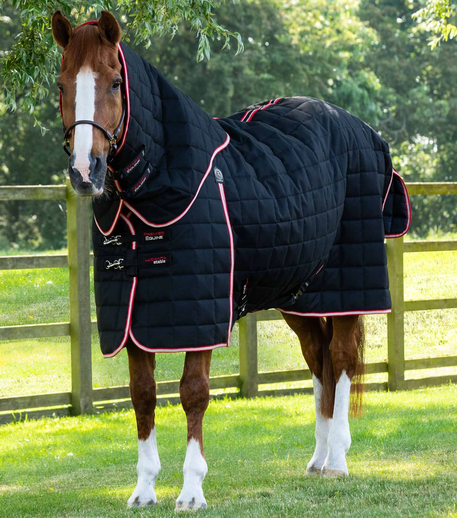 Lucanta 450g Stable Rug With Neck Cover 8 Lucanta 450g Stable Rug With Neck Cover - Image 6