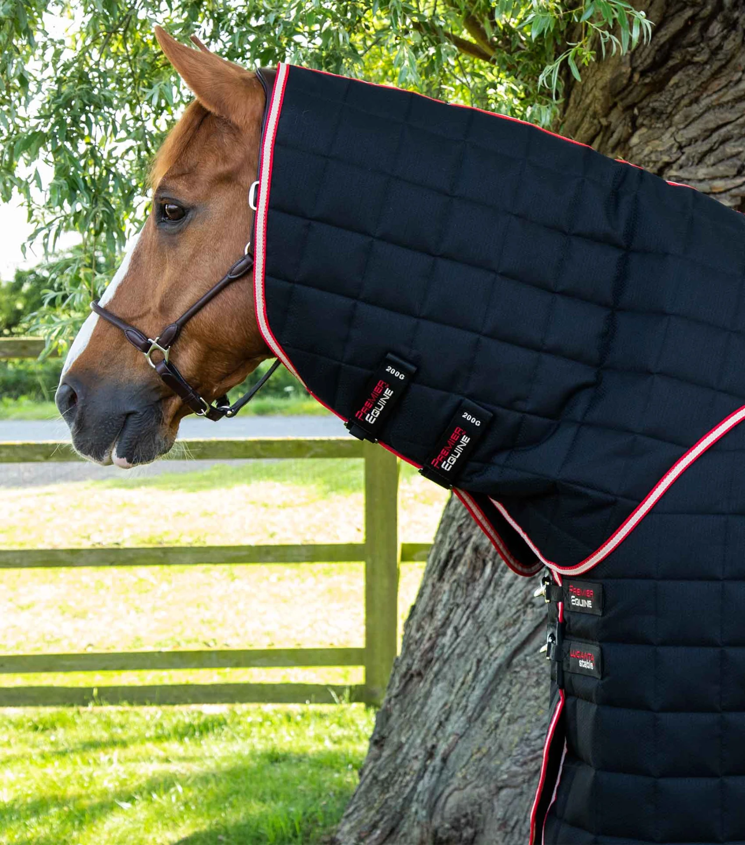 Lucanta 450g Stable Rug With Neck Cover 9 Lucanta 450g Stable Rug With Neck Cover - Image 7