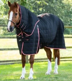 Lucanta 200g Stable Rug With Neck Cover 17 Lucanta 200g Stable Rug With Neck Cover -Premier Equine Lucanta Stable Black Image 1 RGB