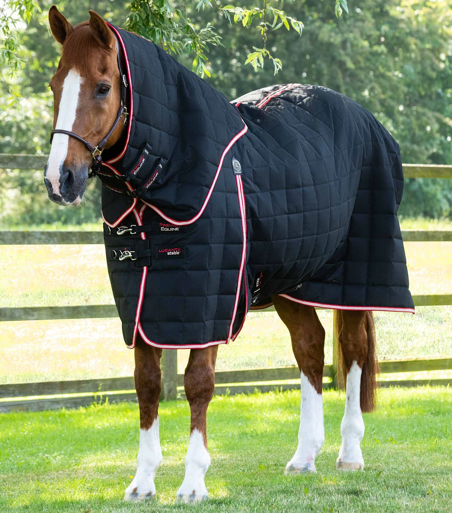 Lucanta 200g Stable Rug With Neck Cover 8 Lucanta 200g Stable Rug With Neck Cover - Image 6