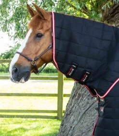 Lucanta 200g Stable Rug With Neck Cover 18 Lucanta 200g Stable Rug With Neck Cover -Premier Equine Lucanta Stable Black Image 2 RGB