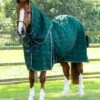 Lucanta 200g Stable Rug With Neck Cover -Premier Equine Lucanta Stable Green Image1 RGB