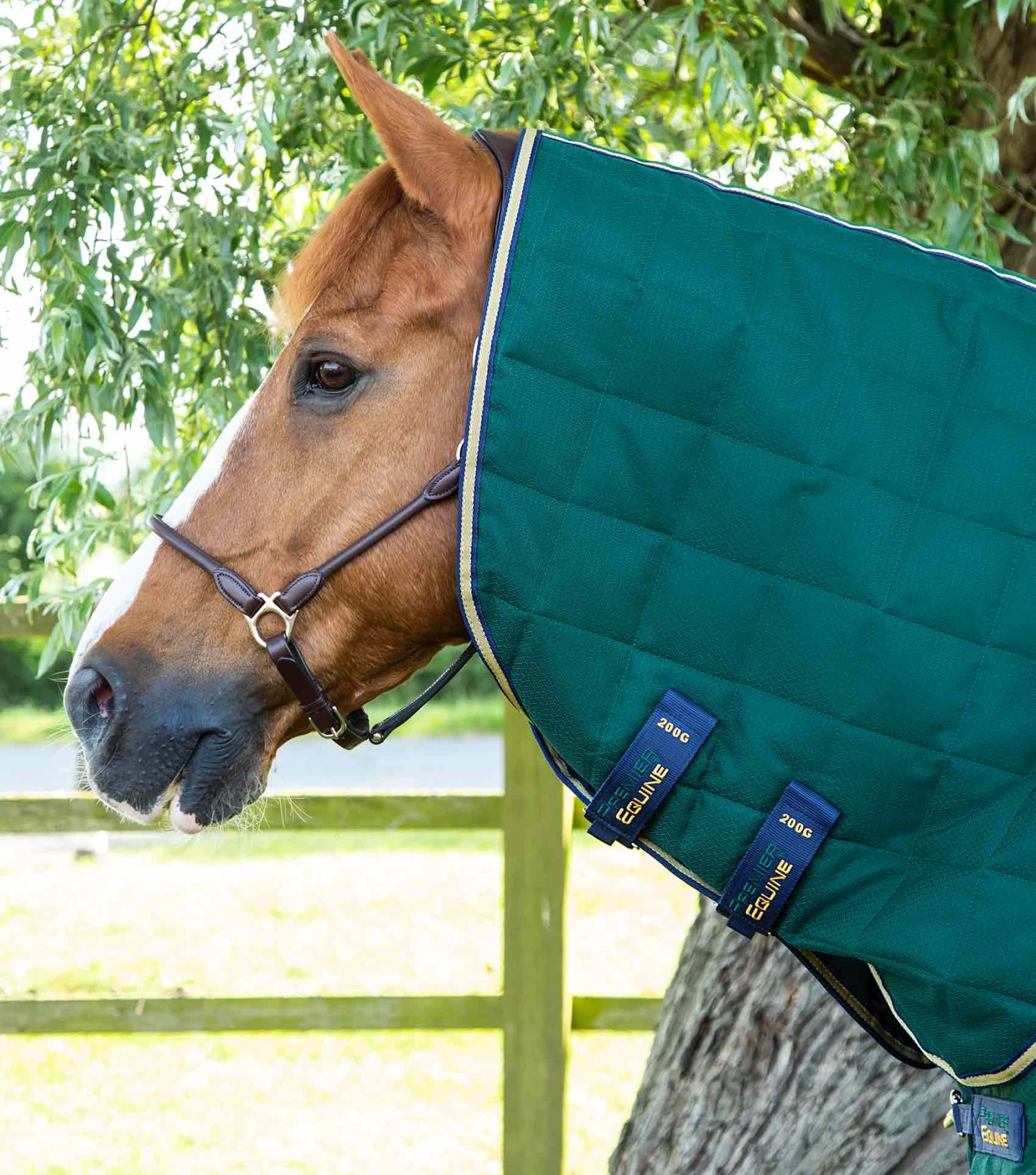 Lucanta 200g Stable Rug With Neck Cover 4 Lucanta 200g Stable Rug With Neck Cover - Image 2