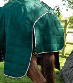 Lucanta 200g Stable Rug With Neck Cover 16 Lucanta 200g Stable Rug With Neck Cover -Premier Equine Lucanta Stable Green Image6 RGB