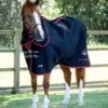 Nano-Tec Infrared Horse Rug 1 Nano-Tec Infrared Horse Rug -Premier Equine Nano Tec Infrared Rug 1 V2