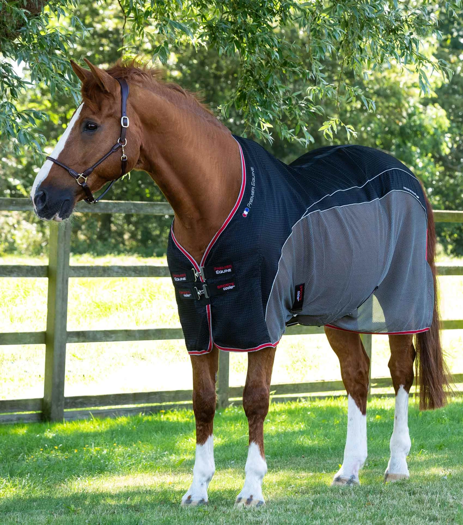 Premier Equine Sports Cooler Rug 9 Premier Equine Sports Cooler Rug - Image 7