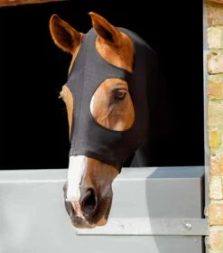PE Stretch Lycra Hood 9 PE Stretch Lycra Hood -Premier Equine PE Stretch Lycra Hood Black 4