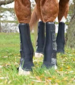 Turnout/ Mud Fever Boots -Premier Equine PE111120 Over reach boots IZ0A9557 web