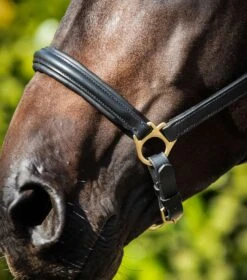 Rego Padded Leather Head Collar -Premier Equine Padded Leather Head Collar Black 4