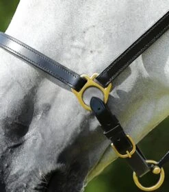 Pasco Plain Leather Head Collar -Premier Equine Plain Leather Head Collar black3