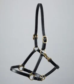 Pasco Plain Leather Head Collar -Premier Equine Plain Leather Head Collar black4