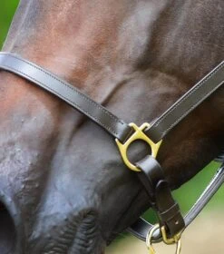 Pasco Plain Leather Head Collar -Premier Equine Plain Leather Head Collar brown3 b6a8d19e 4306 49f3 8965 a4c177759978