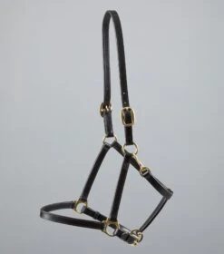 Pasco Plain Leather Head Collar -Premier Equine Plain Leather Head Collar brown4