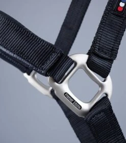 Plain Padded Horse Head Collar -Premier Equine Plain Padded Horse Head Collar Black 6