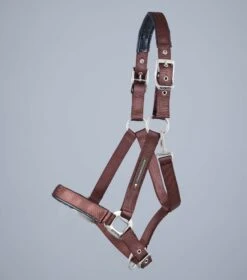 Plain Padded Horse Head Collar -Premier Equine Plain Padded Horse Head Collar Brown 2