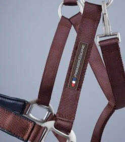 Plain Padded Horse Head Collar -Premier Equine Plain Padded Horse Head Collar Brown 3