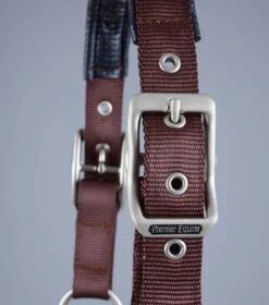Plain Padded Horse Head Collar -Premier Equine Plain Padded Horse Head Collar Brown 4