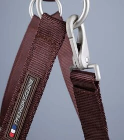 Plain Padded Horse Head Collar -Premier Equine Plain Padded Horse Head Collar Brown 5