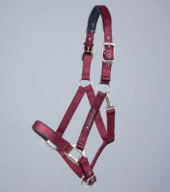 Plain Padded Horse Head Collar -Premier Equine Plain Padded Horse Head Collar Burgundy 2