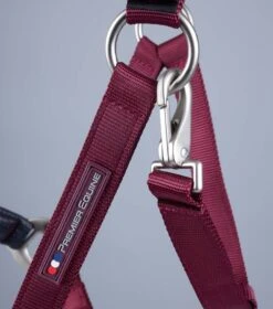 Plain Padded Horse Head Collar -Premier Equine Plain Padded Horse Head Collar Burgundy 5