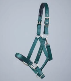 Plain Padded Horse Head Collar -Premier Equine Plain Padded Horse Head Collar Green 2