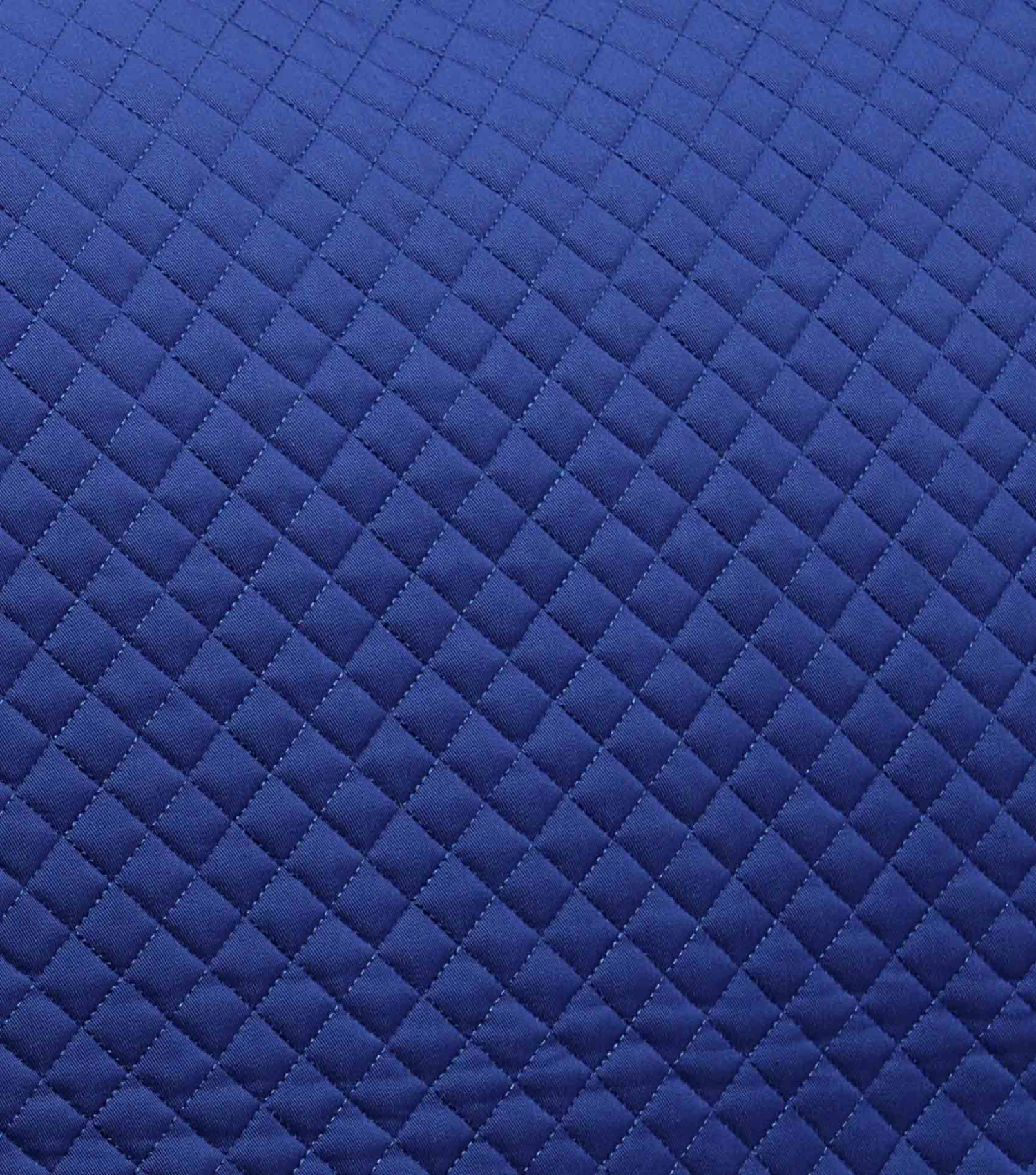 Pony Plain Cotton Dressage Square 12 Pony Plain Cotton Dressage Square - Image 10