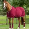 PremTex Horse Cooler Rug